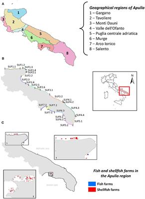 Climate impacts and adaptation strategies for coastal erosion, aquaculture, and tourism along the Adriatic side of Apulia region